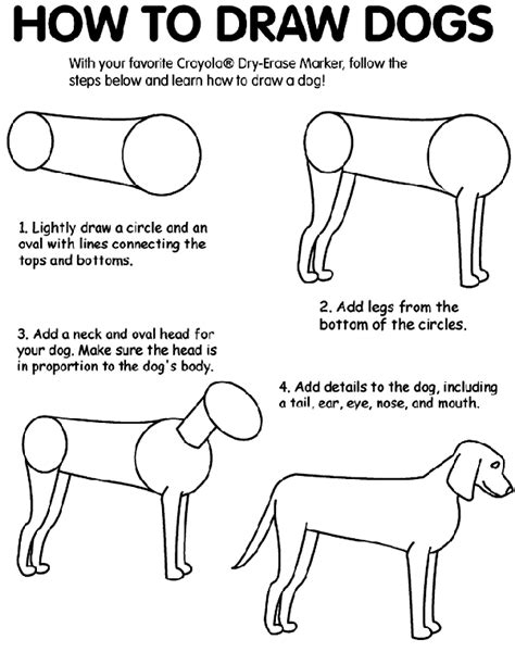 Using the hb pencil, the artist makes a large circle for the chest, a. How to Draw Dogs | crayola.com.au