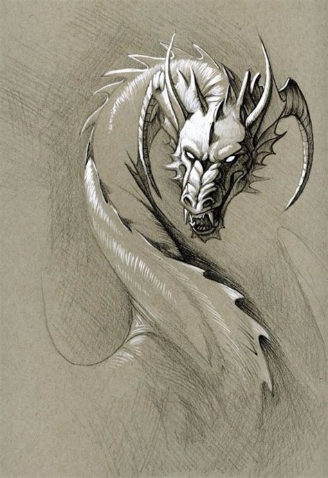 9 Best Ideas For Coloring Realistic Dragon Sketch