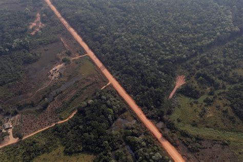 El Plan De Bolsonaro Para Repavimentar Una Carretera Apunta Al Corazón