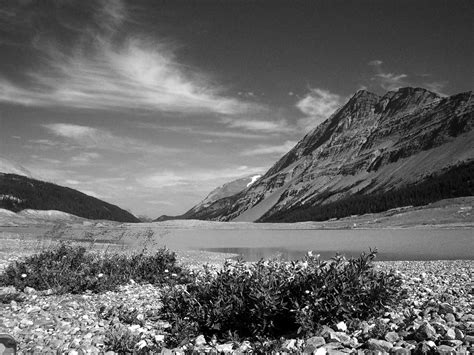 Mountains In Black And White Randall Talbot Artist