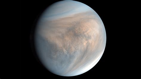 Vida En Venus ¿qué Significa El Reciente Hallazgo The New York Times