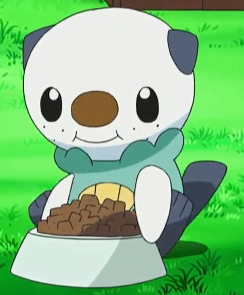 Oshawott Eating 2 Oshawott Photo 33547557 Fanpop