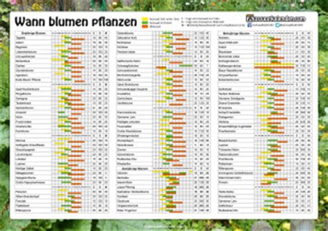 Aussaatkalender für die 50 gängigsten gemüsearten. Blumen pflanzen - Aussaatkalender.com