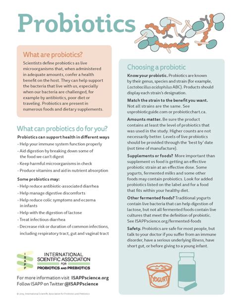 Understanding Probiotics And Their Benefits An Isapp Infographic