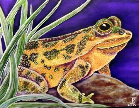 Frog Painting By Pauline Jones Fine Art America