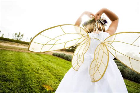 Diy Fairy Wings Pictures Photos And Images For Facebook