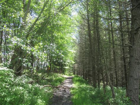 Rensselaer Plateau Life Hike To Dunham Reservoir