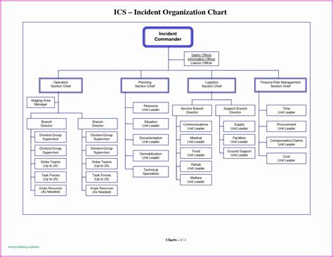 Blank Organizational Chart Template Awesome Heart Diagram Blank Flow