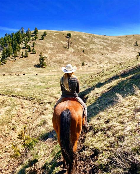 A Person Riding On The Back Of A Brown Horse Down A Dirt Road Next To A