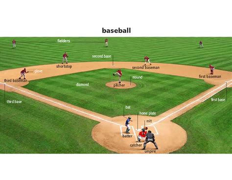 Bat1 Noun Definition Pictures Pronunciation And Usage Notes