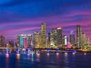 Miami: Florida’s Glamourous Destination | TravelAlerts