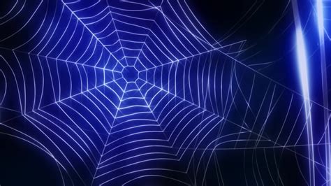 Background Blue And White Spider Webs