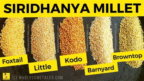 Siridhanya Millet In Hindi Organic Millet Photos असली मिलेट
