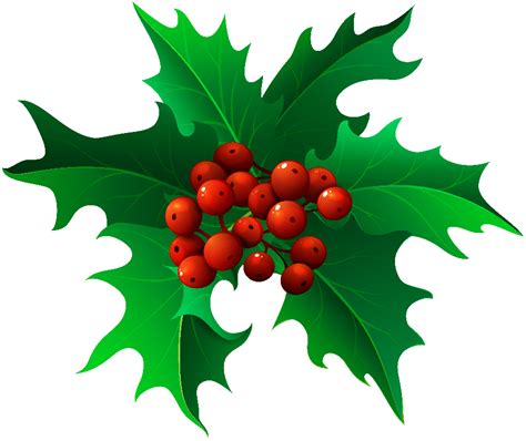 Download High Quality Holly Clipart Transparent Background Transparent