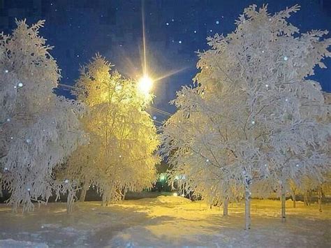 Beautiful Winter Scene Winter Wonderland Pinterest