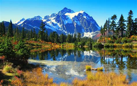 Wallpaper Landscape Forest Lake Nature Reflection National Park