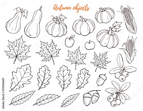 Autumn Objects Hand Drawn Collection Isolated On White Background