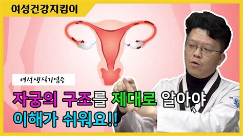 여성생식기 염증 자궁의 구조부터 알아야 이해가 쉽다 Youtube