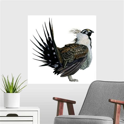 Decorate your living room, bedroom, or bathroom. Sage Grouse (Centrocercus Urophasianus) Poster Art Print ...