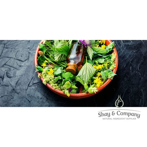 Sanctuary Fragrance, 100% Natural - Shay and Company Inc