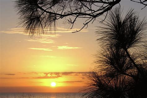 Beach Sunrise Hilton Head Island South Carolina Photograph By William