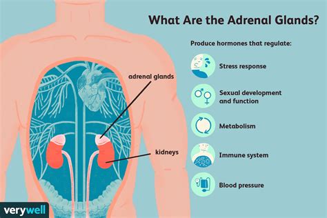 When Lung Cancer Spreads To The Adrenal Glands