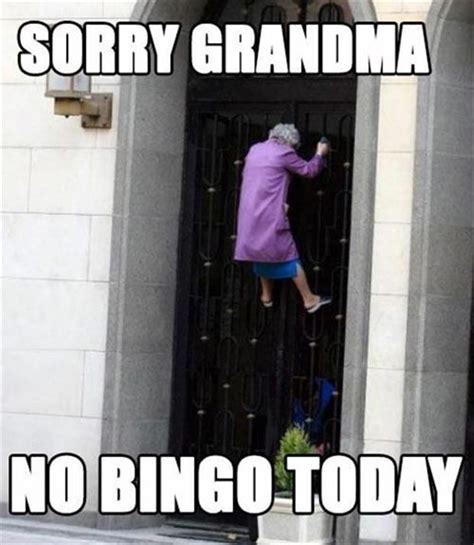 Sorry Grandma D Funny Pictures Funny Captions Funny Jokes
