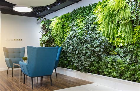 Green Walls And Plant Wall Decor Brings Life To Urban Spaces