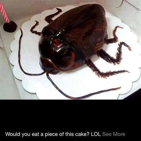 Biggest Cockroach Ever Found In A Birthday Cake See Photo Nigeria Love Arena