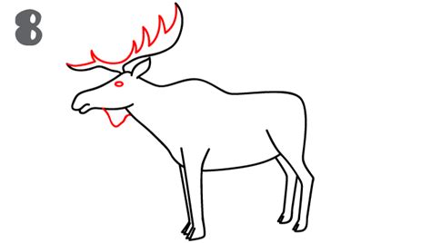 How To Draw A Moose Step By Step