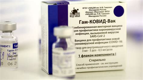The first foreign state to start using the 'sputnik v' vaccination was belarus: Russia's Sputnik V vaccine 91.6% effective: Lancet ...