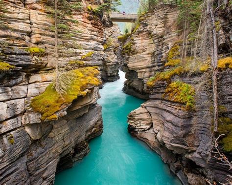 A Guide To The Maligne Canyon Hike For New Hikers