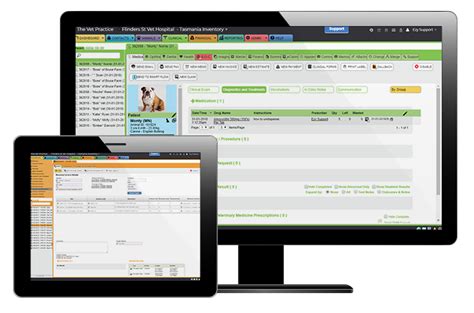 11 veterinary practice management software to have in 2021