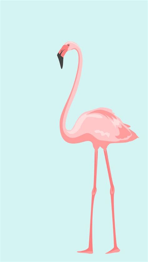 Details 88 Flamingo Iphone Wallpaper Latest Vn