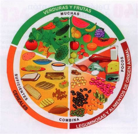 Maybe you would like to learn more about one of these? Imagen del plato del buen comer para colorear - Imagui