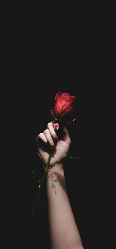Rose Red Hand Tattoo Wallpaper 720x1544