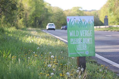 More Pleas To Cut Grass As No Mow May Row Continues In Medway