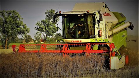 ↠ Claas Tucano 440 Żniwa Rzepakowe ↞ Youtube