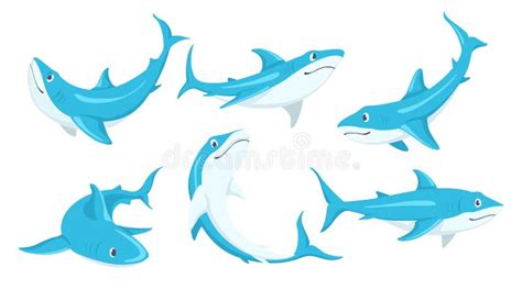 Conjunto De Adorables Tiburones De Diferentes ángulos Sobre Fondo