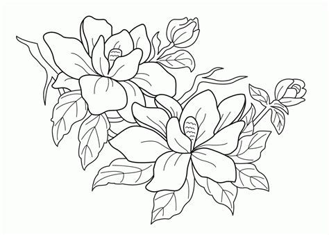 Coloring magnolia is een blog bedoeld om te inspireren voor het inkleuren van afdrukjes stempels digi met copic markers. Magnolia Flower Coloring Page at GetDrawings | Free download