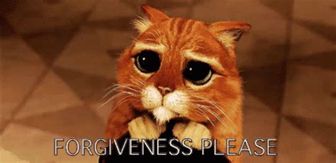 Forgiveness Please GIF Forgiveness ForgivenessPlease Sorry Discover Share GIFs Shrek Cat