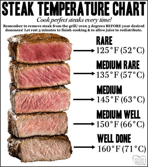 Steak Temperature Chart With Instructions For How To Cook It