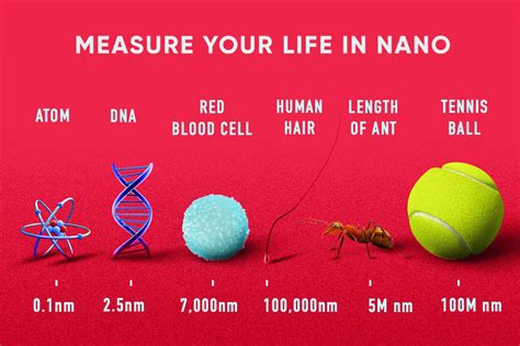 Nanotechnology Tiny Science Nanotechnology Is Measured In By