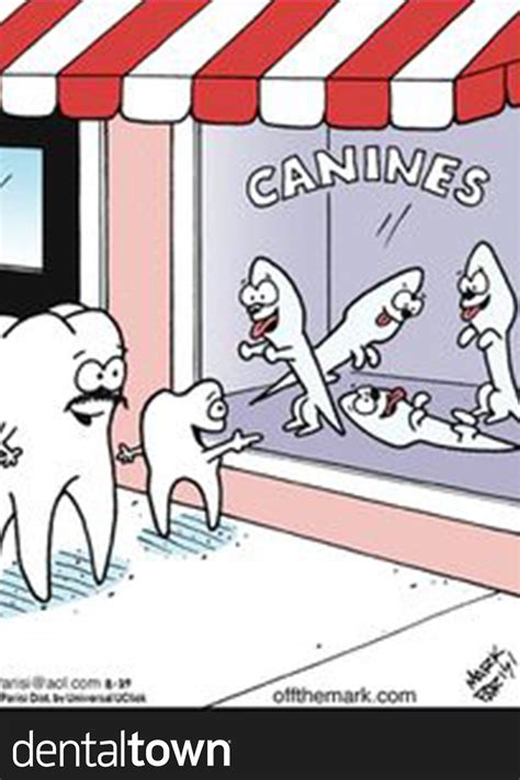 Dentaltown Dentistry Student Dental Services