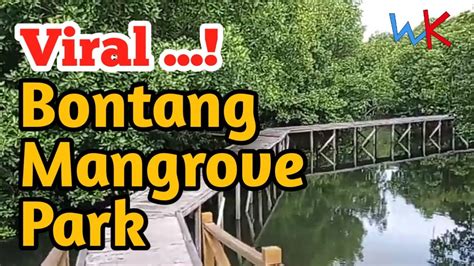 Bontang Mangrove Park Taman Nasional Kutai Youtube
