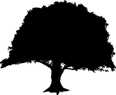 Family Tree Free SVG File | Free SVG Files & More