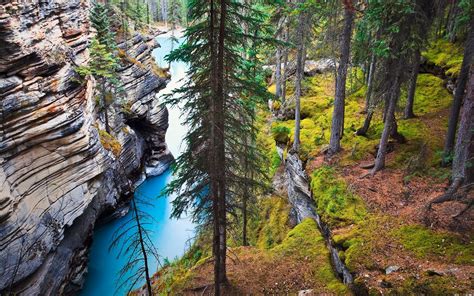 Nature Landscape River Canada Forest Grass Trees Cliff Rock