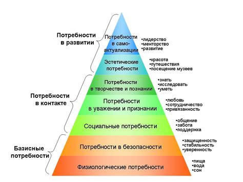 Пирамида ⚠️ потребностей Маслоу: первичные и вторичные виды, какой ...