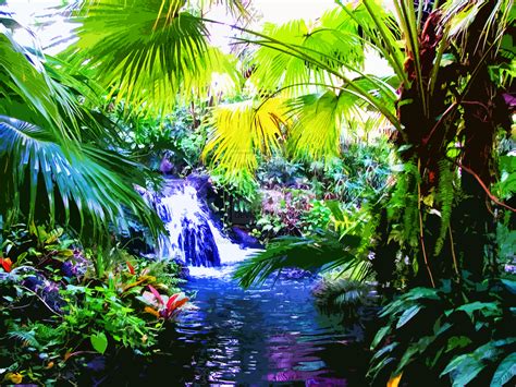 Tropical Rainforest Waterfalls With Flowers