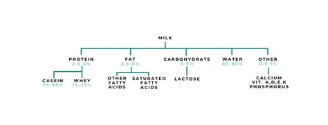 Dairy Foods Physical Nutrition